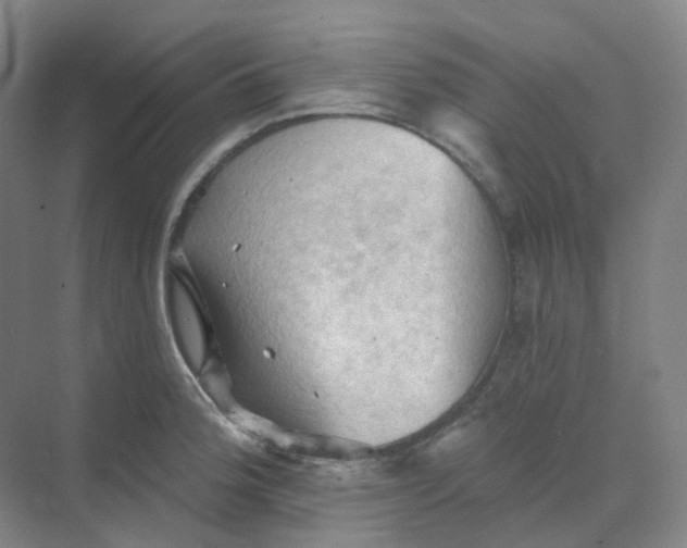 X0000068741188200605121536