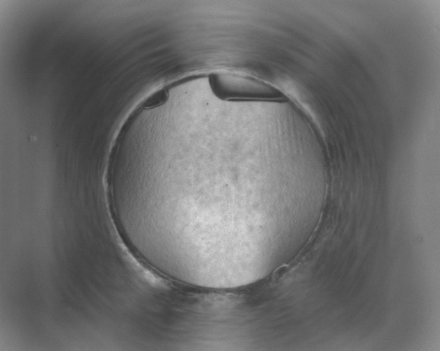 X0000068741189200605121536