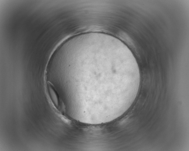 X0000068741190200605121536