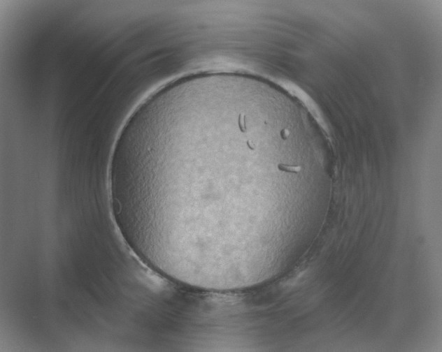 X0000068741191200605121536