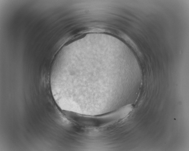 X0000068741193200605121536