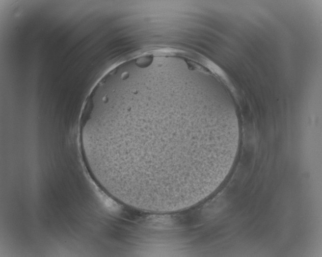 X0000068741194200605121536