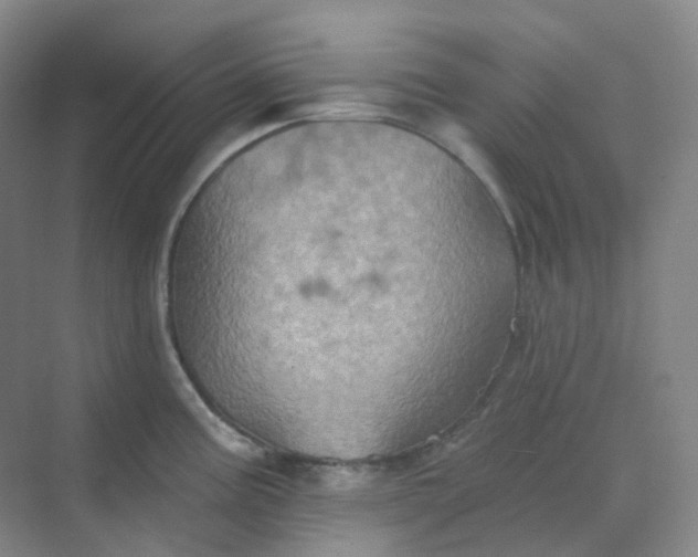 X0000068741195200605121536