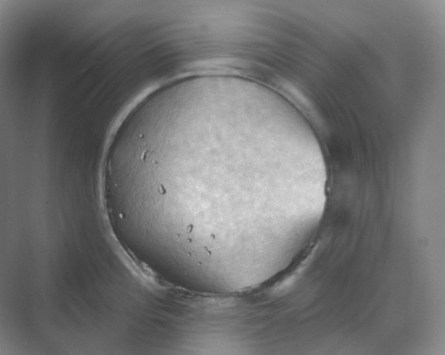 X0000068741196200605121536