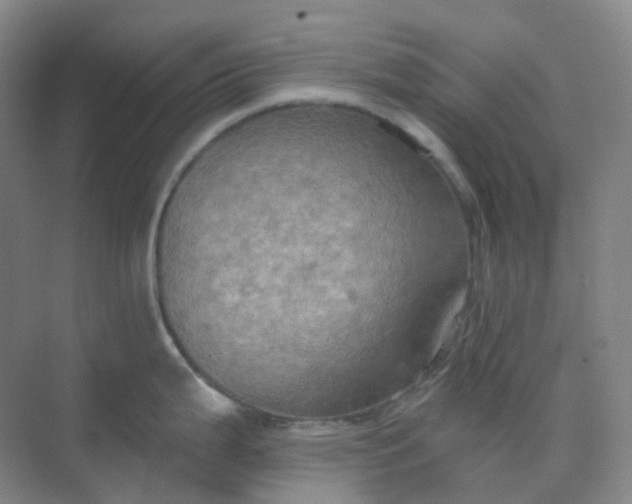 X0000068741199200605121536