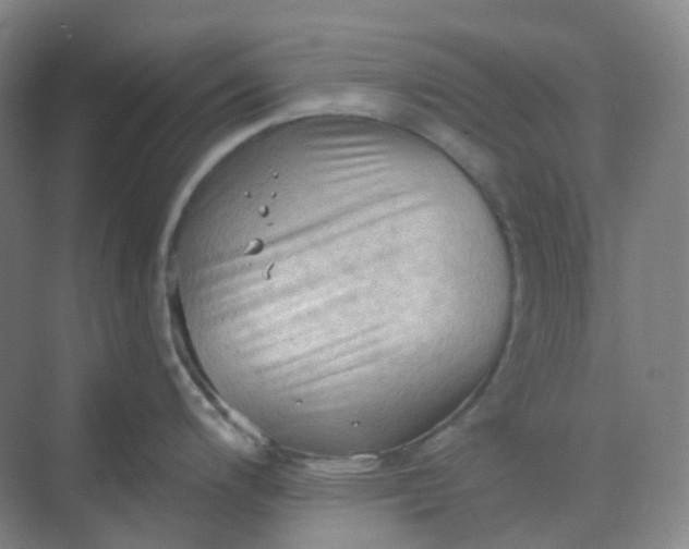 X0000068741200200605121536