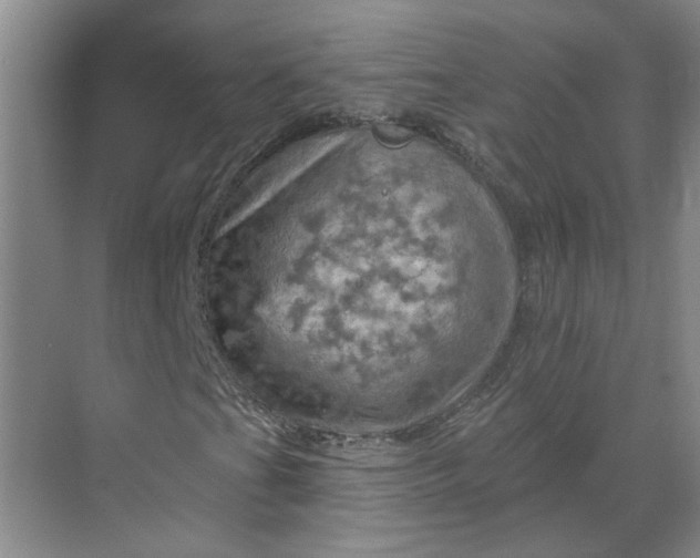 X0000068741201200605121535