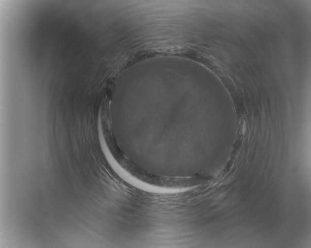 X0000068741202200605121535