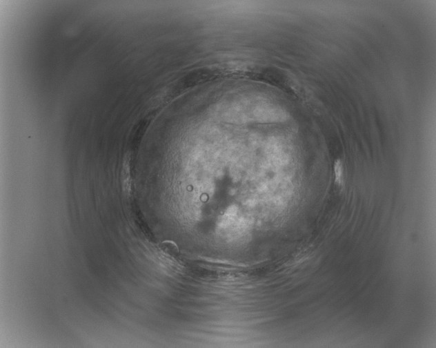 X0000068741203200605121535