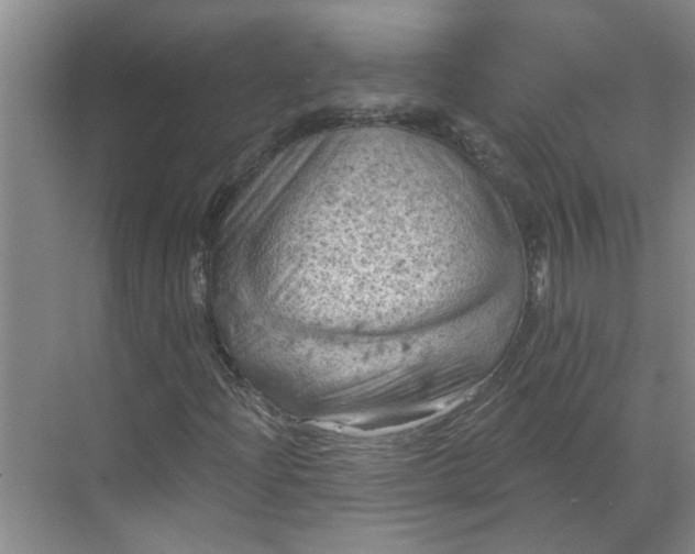 X0000068741204200605121535