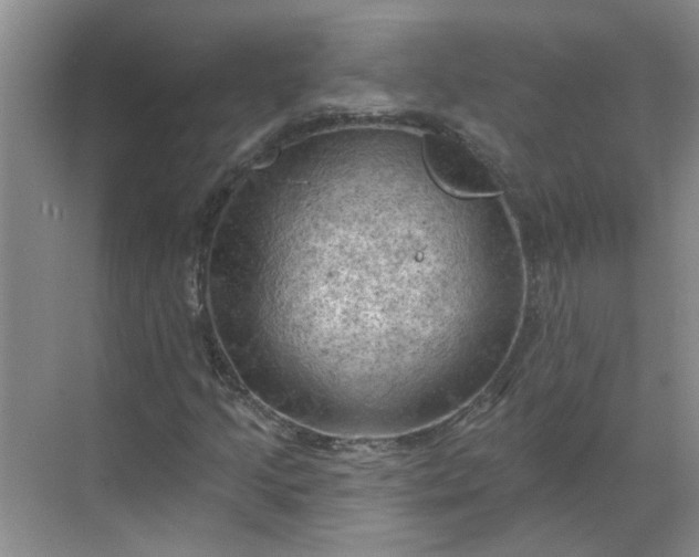 X0000068741205200605121535