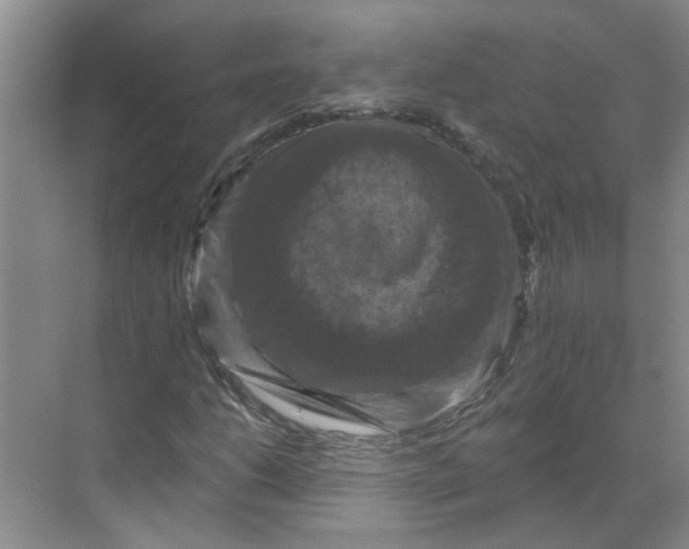 X0000068741206200605121535