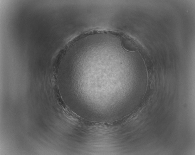 X0000068741207200605121535