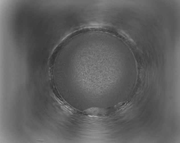 X0000068741208200605121535