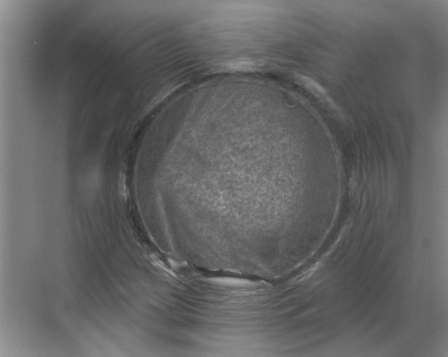 X0000068741209200605121535