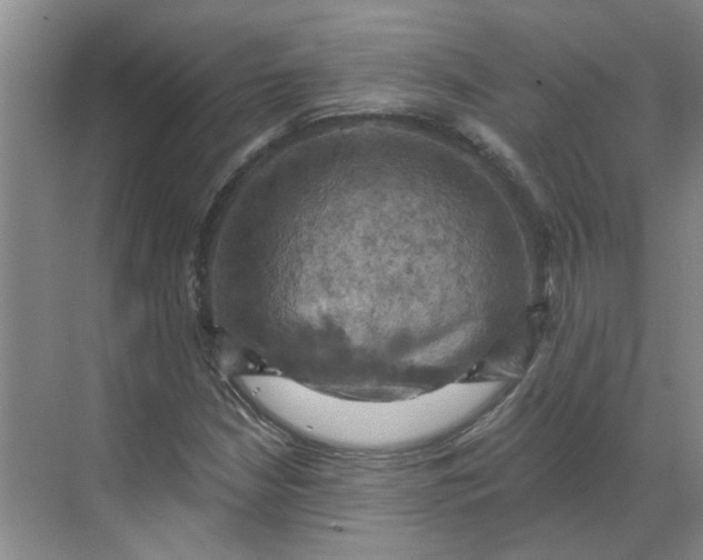 X0000068741210200605121535