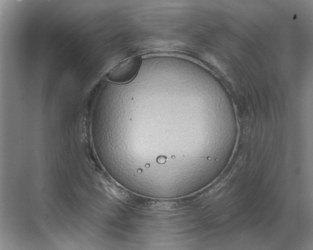 X0000068741211200605121535