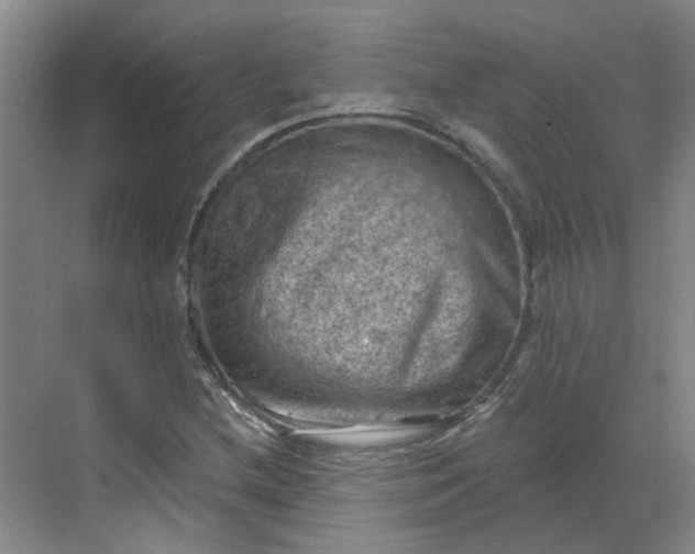 X0000068741212200605121535