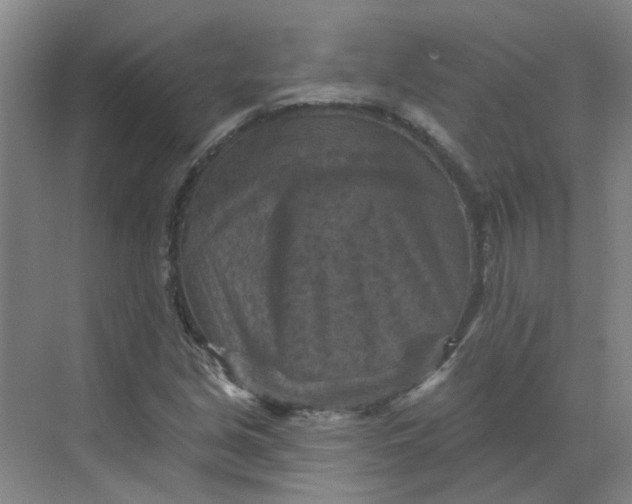 X0000068741213200605121535