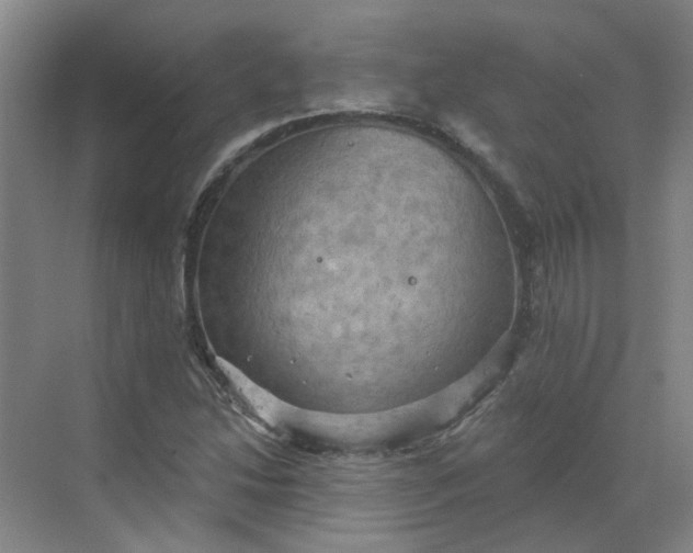 X0000068741214200605121535