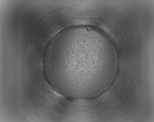 X0000068741217200605121535