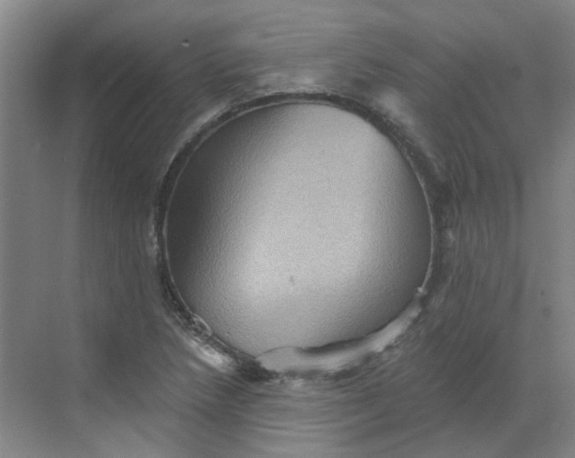 X0000068741218200605121535