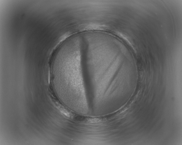 X0000068741219200605121535