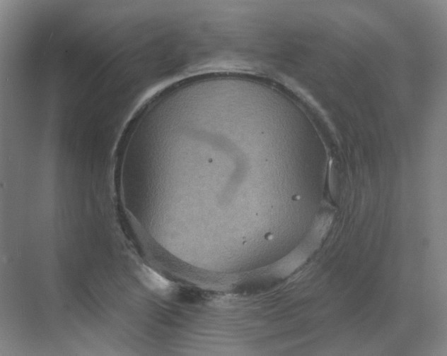 X0000068741222200605121535