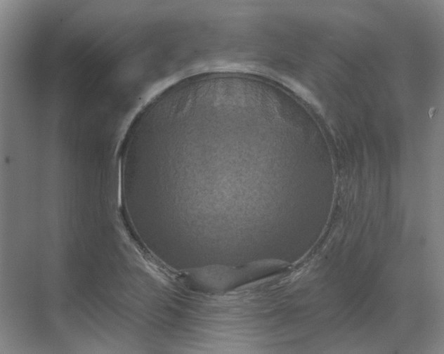 X0000068741223200605121535