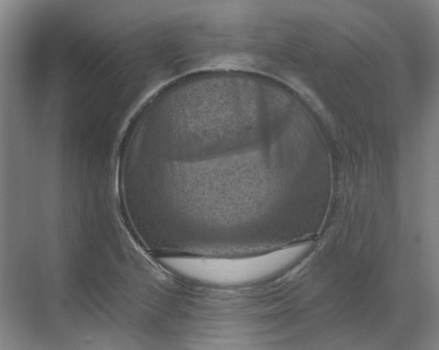 X0000068741224200605121535