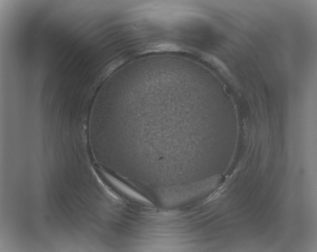 X0000068741225200605121535