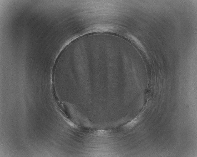 X0000068741226200605121535