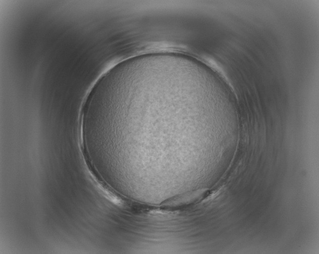 X0000068741227200605121535