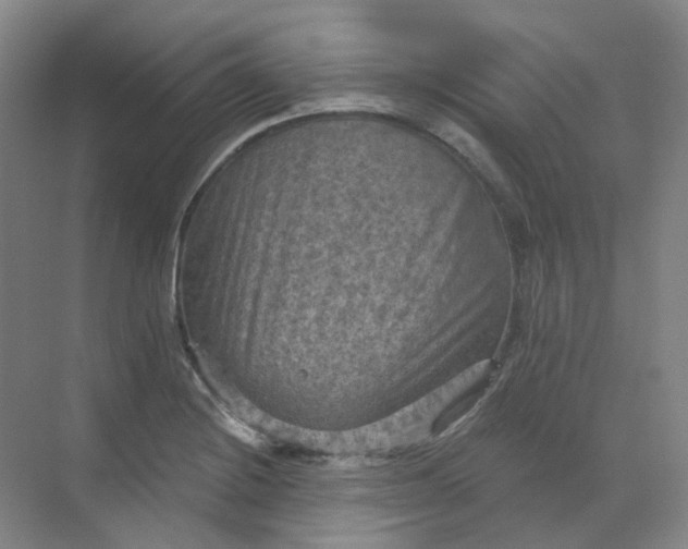 X0000068741228200605121535