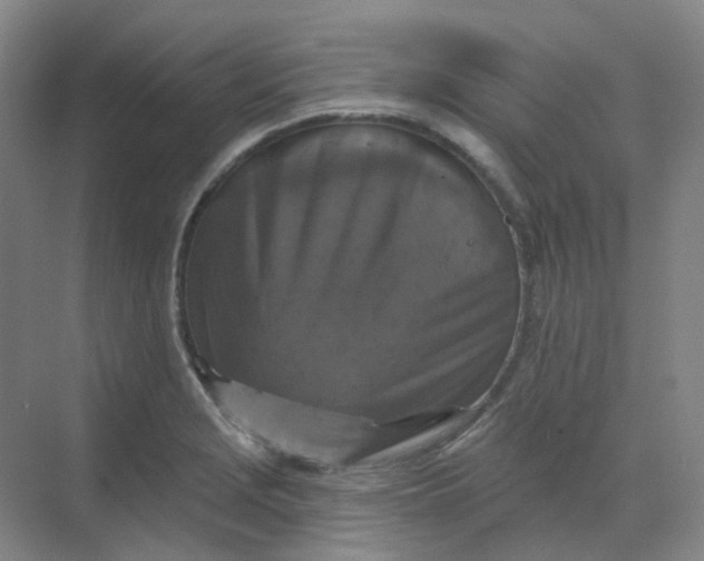 X0000068741229200605121535