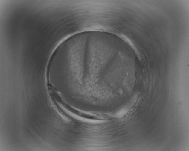 X0000068741230200605121535