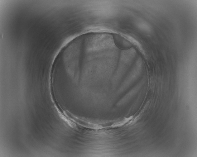 X0000068741231200605121535