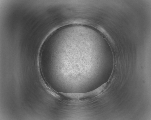 X0000068741232200605121535