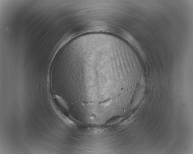 X0000068741234200605121535