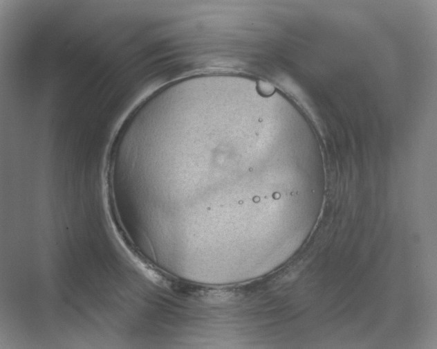 X0000068741235200605121535