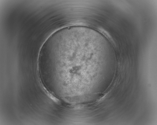 X0000068741236200605121535