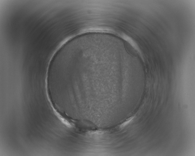 X0000068741237200605121535