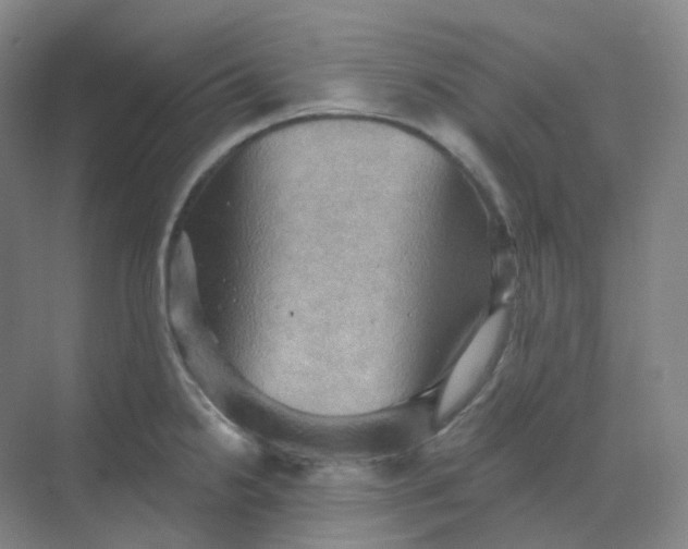 X0000068741238200605121535