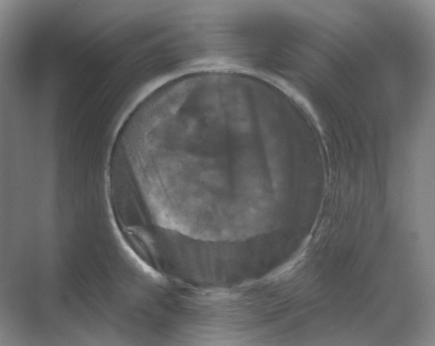 X0000068741239200605121535