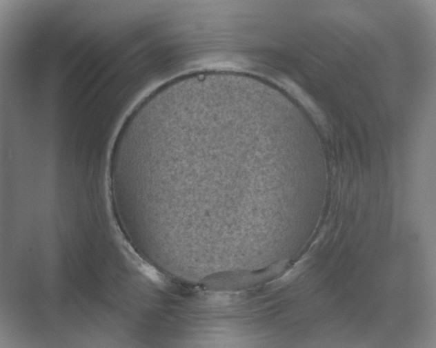 X0000068741240200605121535