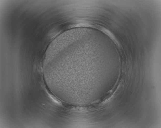 X0000068741241200605121535