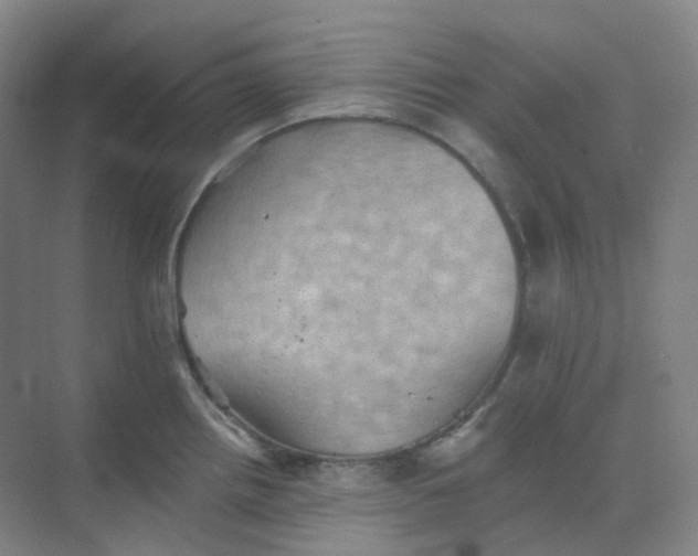 X0000068741242200605121536