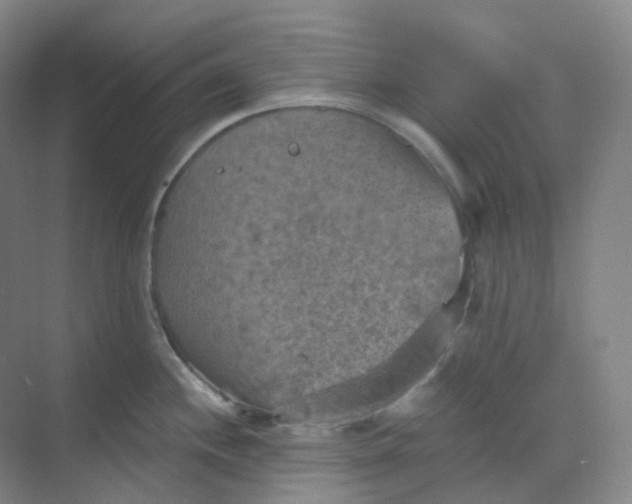 X0000068741244200605121536