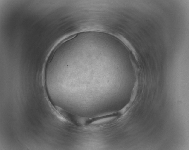 X0000068741246200605121536