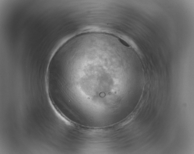 X0000068741247200605121536